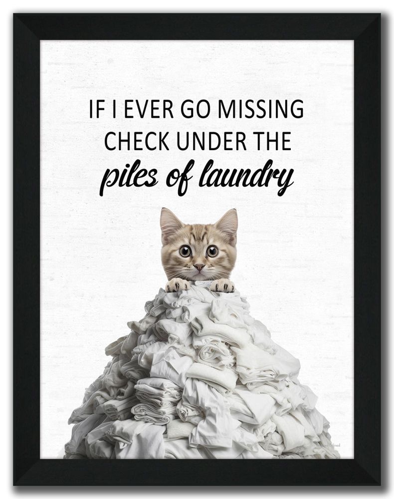 Piles of Laundry Cat