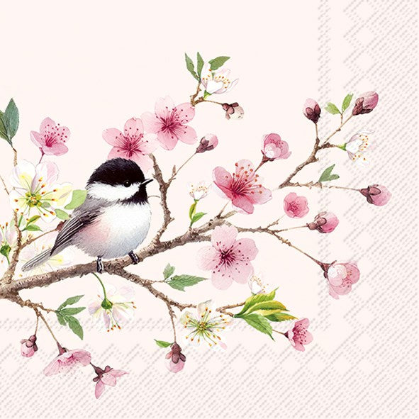 Little Birdie Paper Napkins (2 sizes) - Joshua & Company