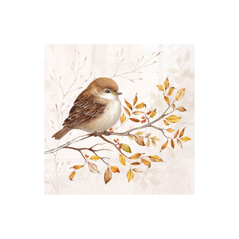 Autumn Melody - Cocktail Napkin