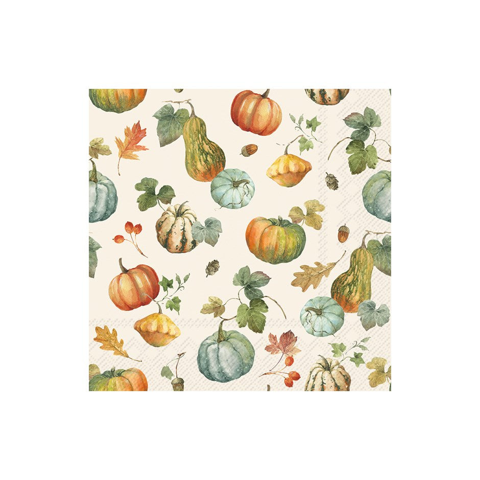Pumpkins and Gourds - Cocktail Napkin