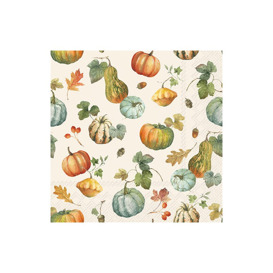 Pumpkins and Gourds - Cocktail Napkin