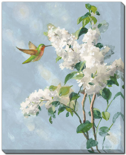 Hummingbird in Flight A 16" x 20" **Store Pickup Only**