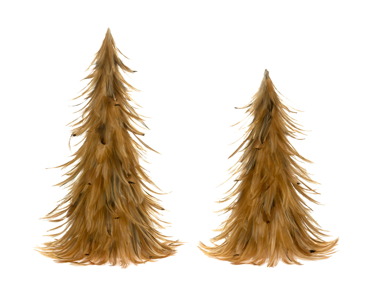 Light Brown Feather Tree