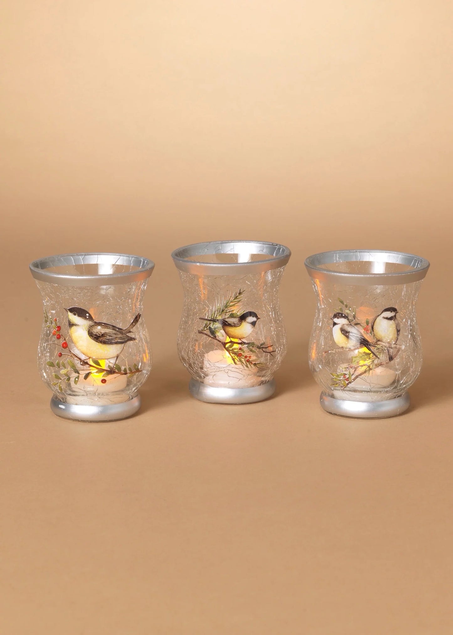 Frosted Chickadee Hurricane Holder - Assorted