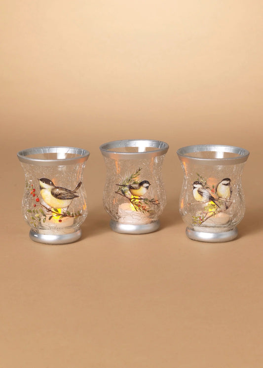 Frosted Chickadee Hurricane Holder - Assorted