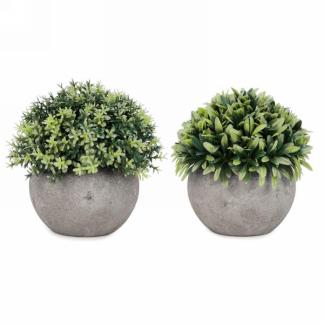 Green Foliage Ball Plant in Grey Pot (2 Styles)