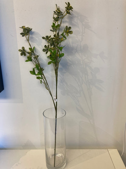 Green Plum Flower Stem