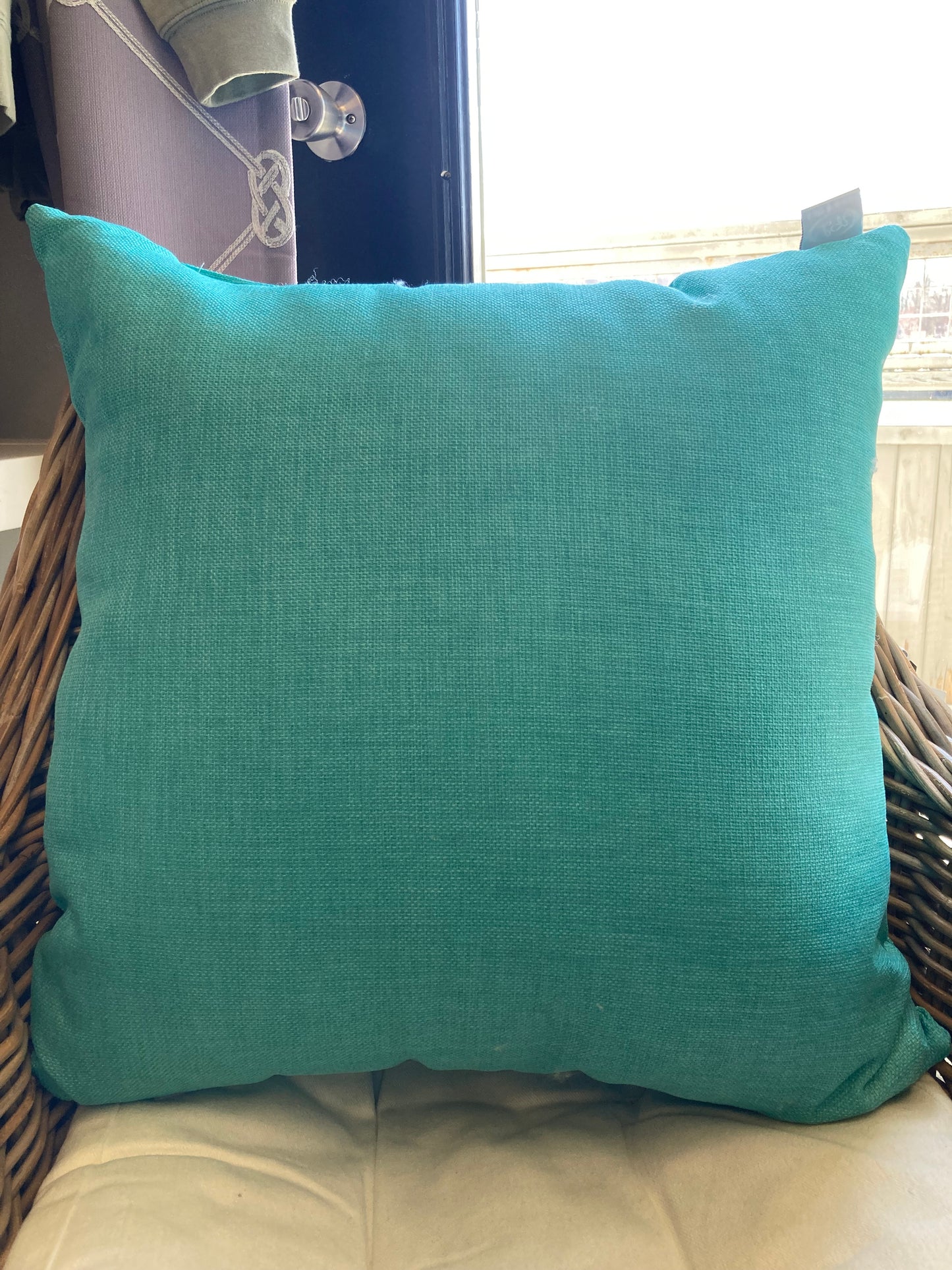 Indoor/Outdoor Cushion - Rave Opal 20"