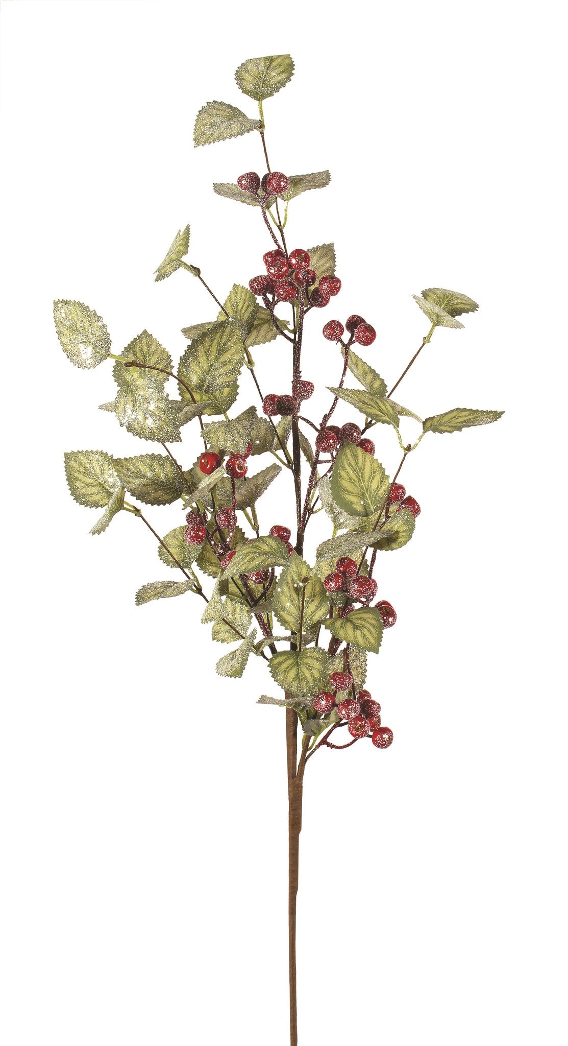 Variegated Leaf Berry Spray