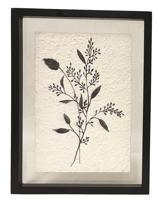 Black Botanical Print A