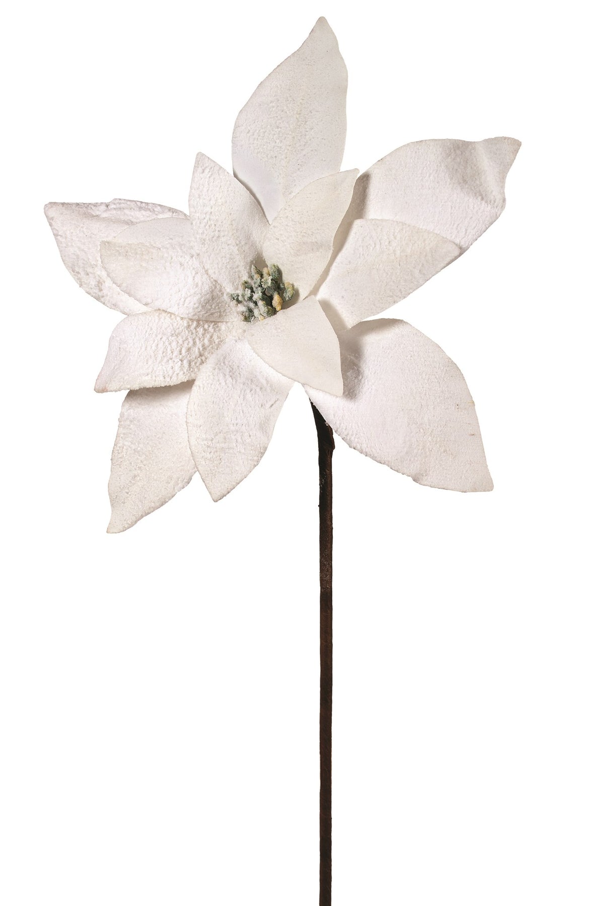 Flocked White Poinsettia