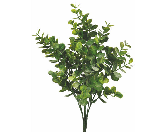 Eucalyptus Bush Powdered 13"