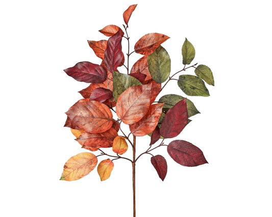 Salal Leaf Spray