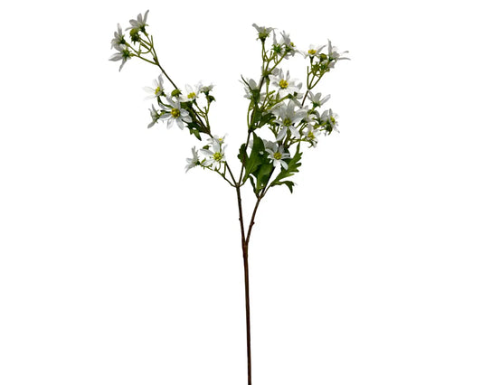 Chamomile Spray
