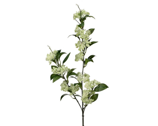 Wild Meadowsweet 40″