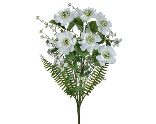Summer Scabosia Bush