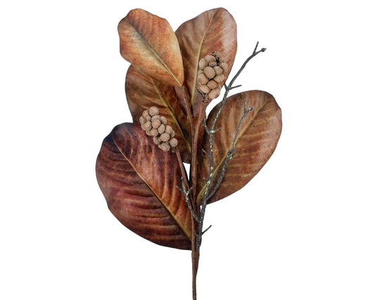 Magnolia Leaf and Berry Spray