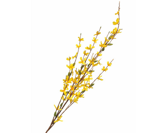 Forsythia Spray 36"