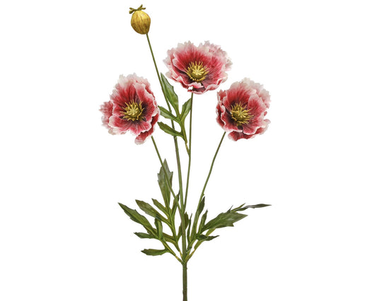 Cream and Pink Poppy Spray with Bud