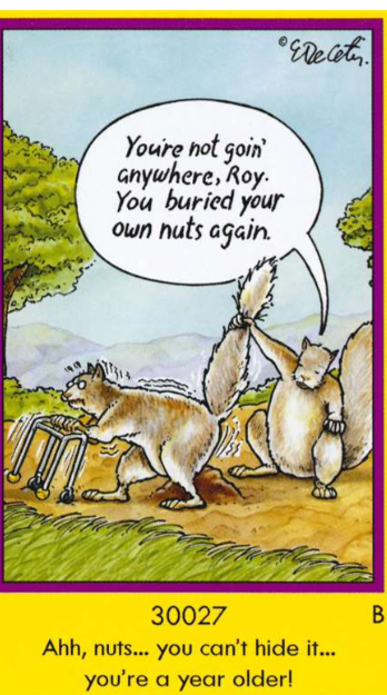 Birthday Card - Can't Hide