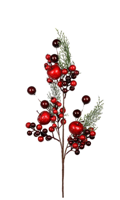 Red Berries and Apple Pick