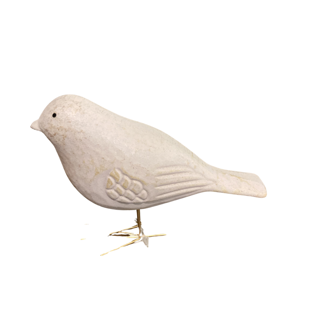 Bird with Gold Legs - Joshua & Company