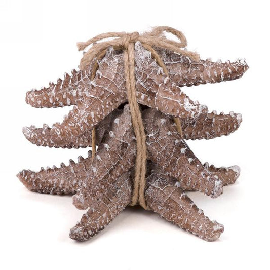Brown Coloured Starfish s/3