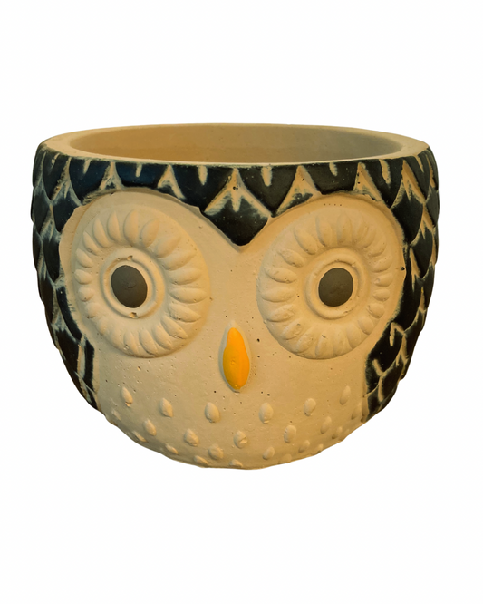 Owl Cement Planter