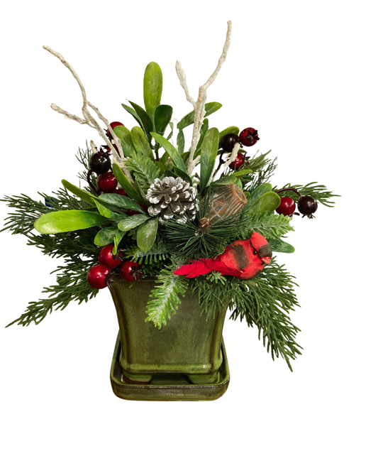 Holiday Arrangement with Cardinal in Green Pot *Store Pick Up Only