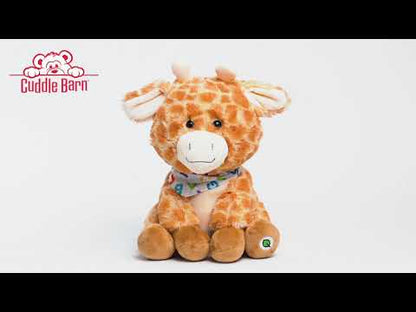 Alphabet Jodey - Talking Stuffed Giraffe