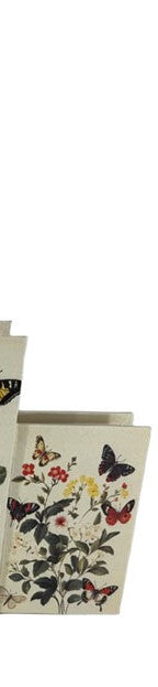 Butterfly Book Box - assorted - Joshua & Company