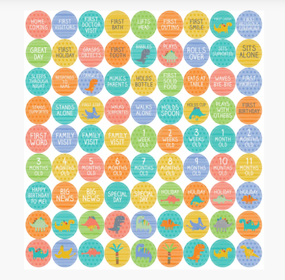 My Life as a Baby: A First-Year Calendar - Dinosaurs