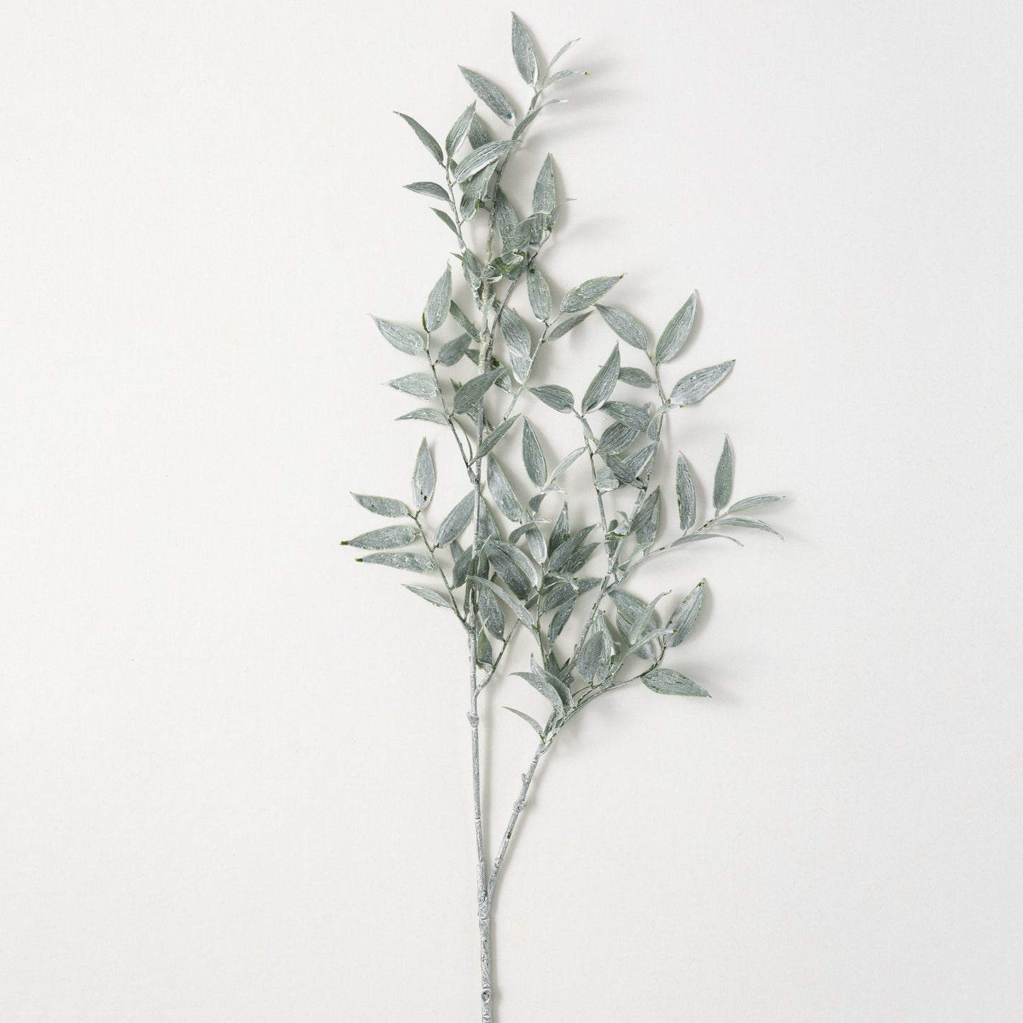 Ruscus Stem 39"