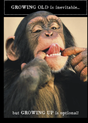 Chimpanzee Sticking out Tongue- Birthday Card