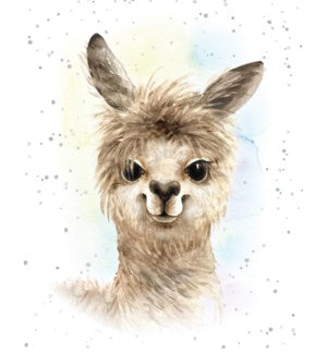 Small Card-Alpaca my Bags - Joshua & Company