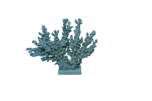 Turquoise Coloured Coral