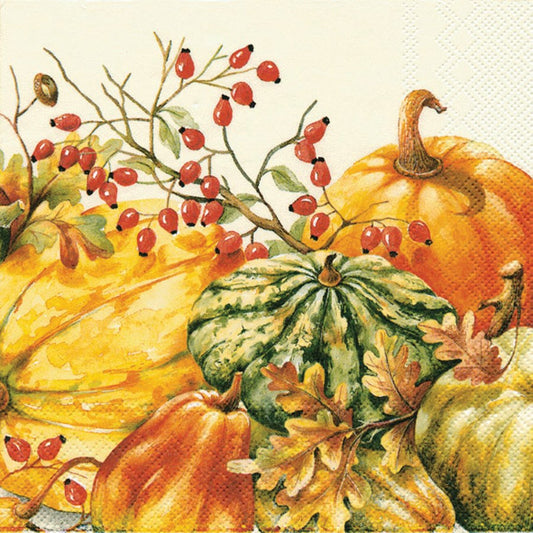 Calabaza  Napkins