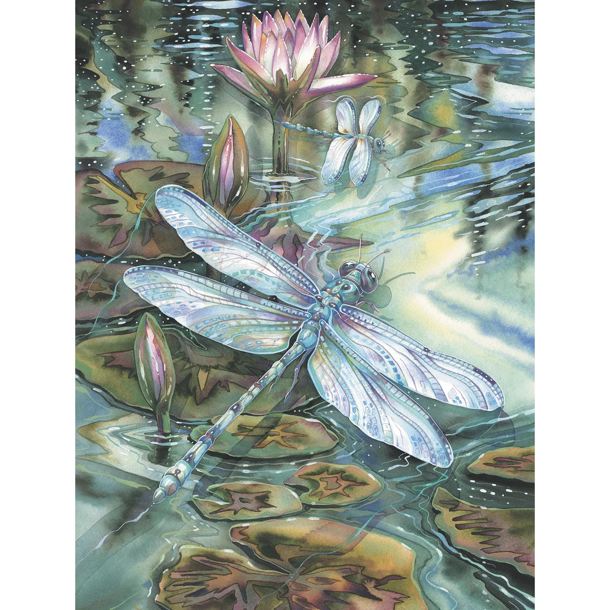 Dragonfly on Lily Pads Birthday Card