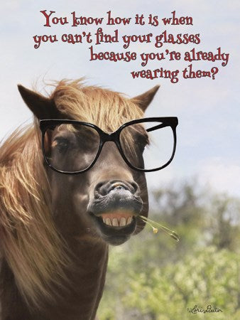 Horse wearing huge glasses- Birthday Card