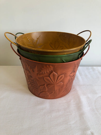 Pot with Leaves (Assorted Colours)