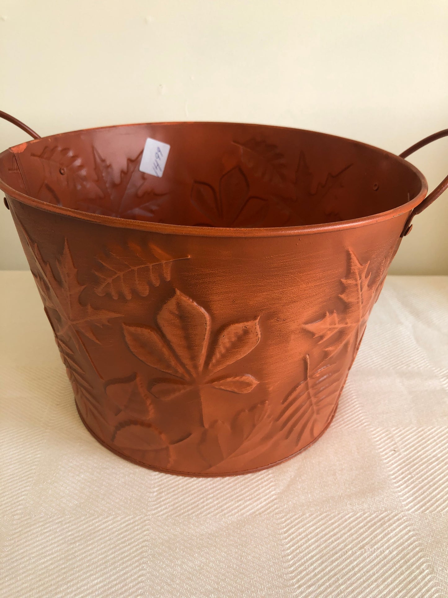 Pot with Leaves (Assorted Colours)