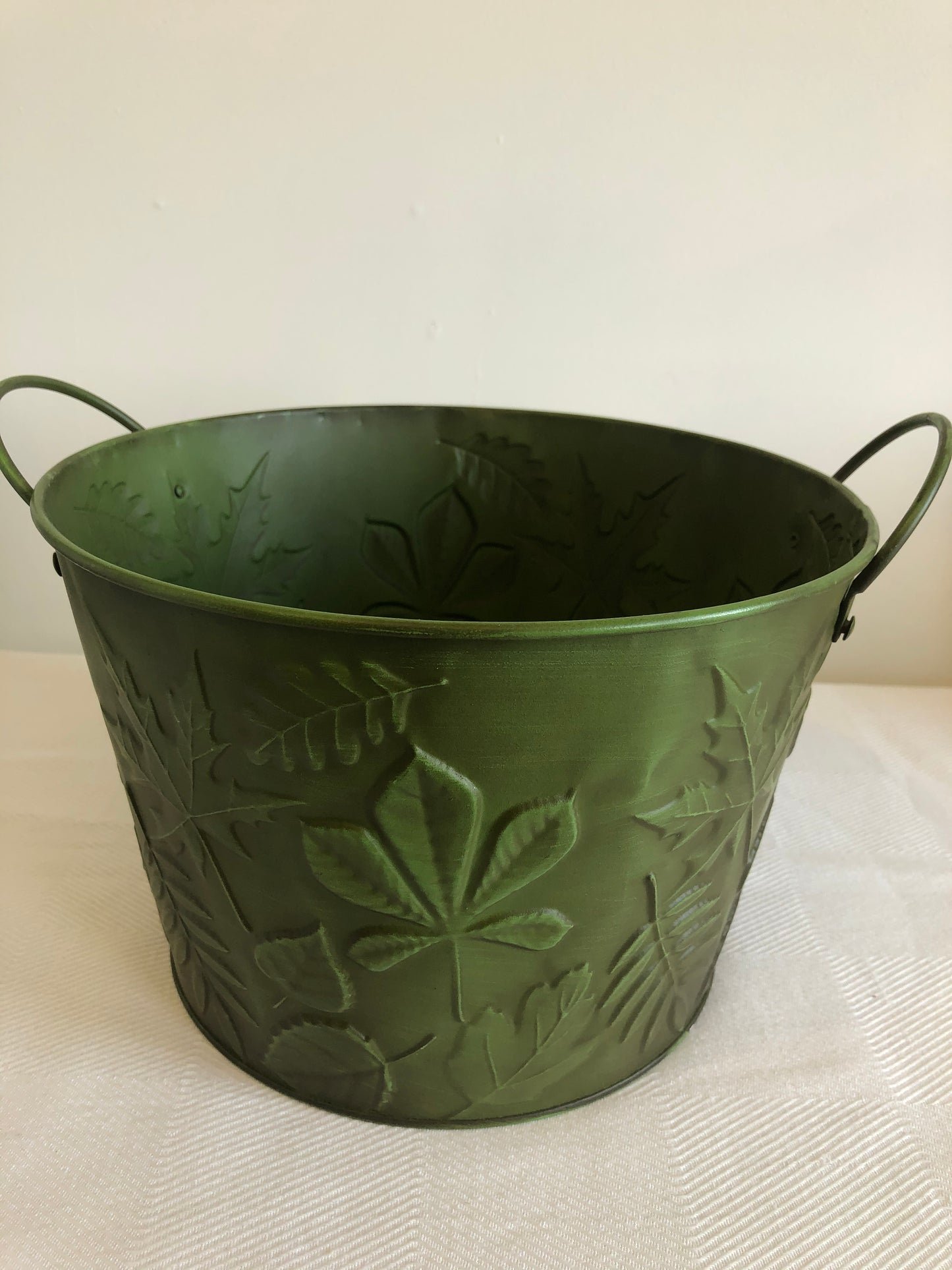 Pot with Leaves (Assorted Colours)