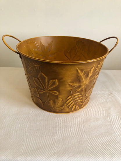 Pot with Leaves (Assorted Colours)