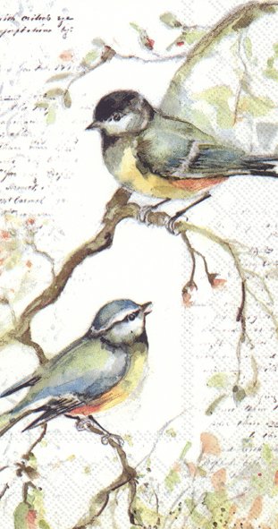 Paper Napkin - Happy Little Titmice (2 Sizes)