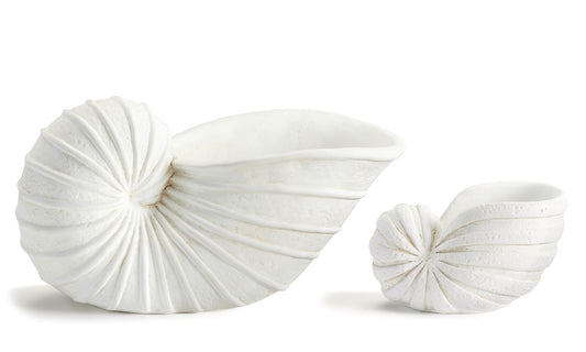 Resin Decorative Shell (2 sizes)