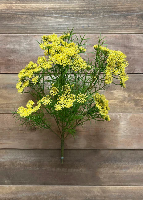 Yellow Queen's Lace 17"